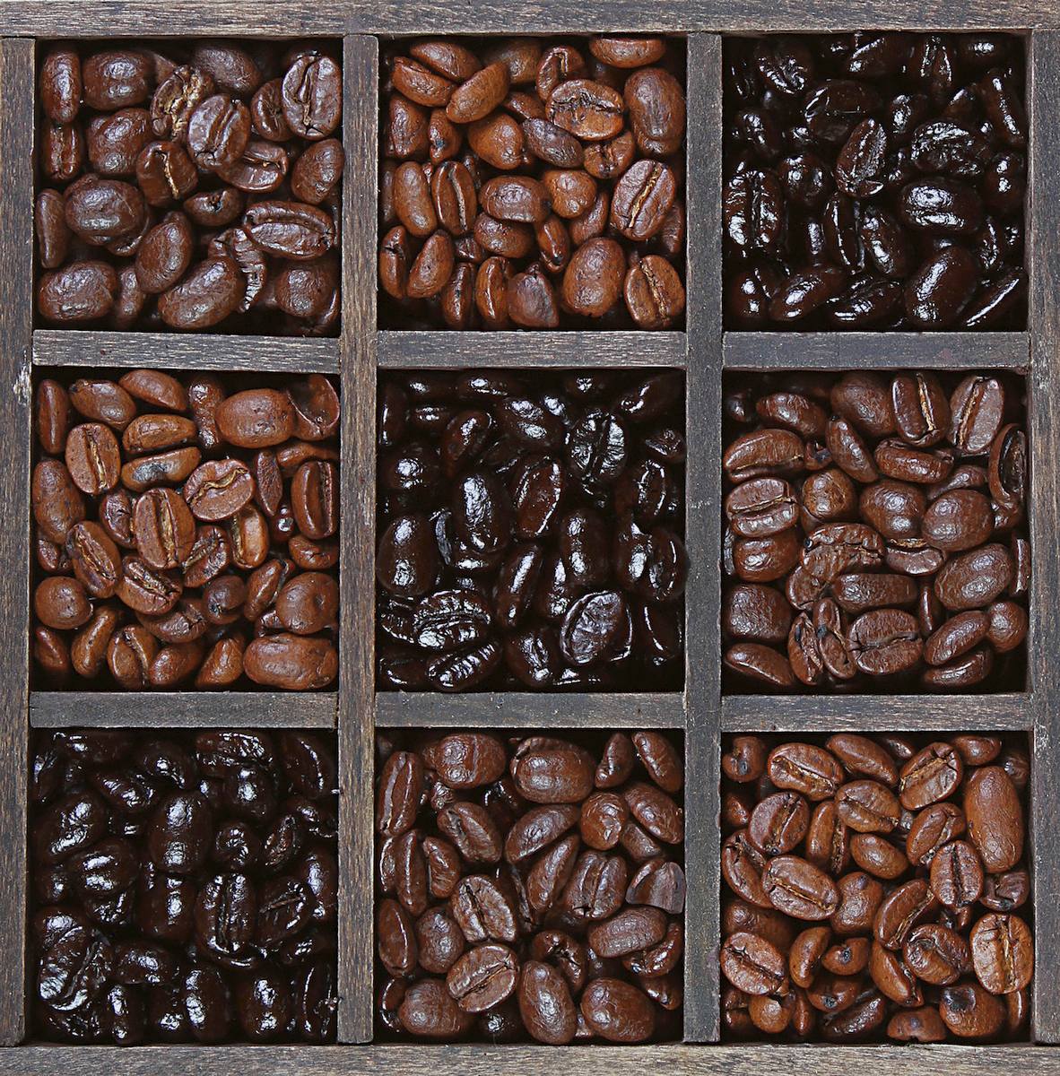 Espresso coffee beans light to dark roast