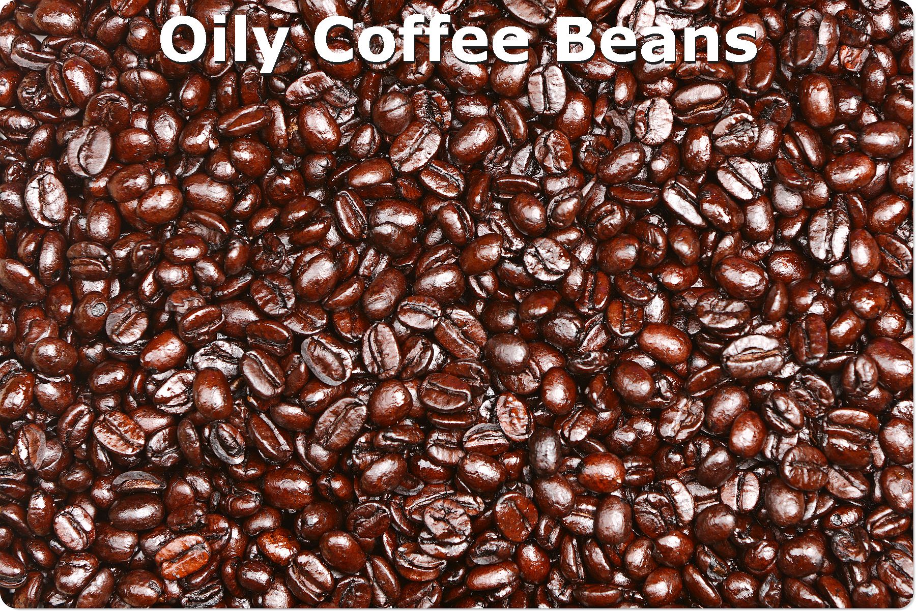 shiny coffee beans texture background