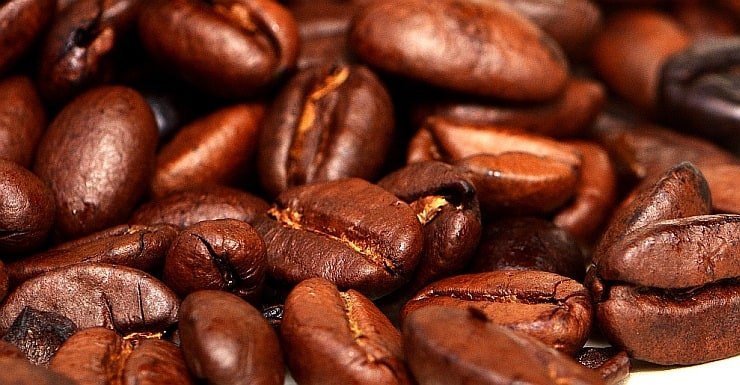 medium roast coffee beans